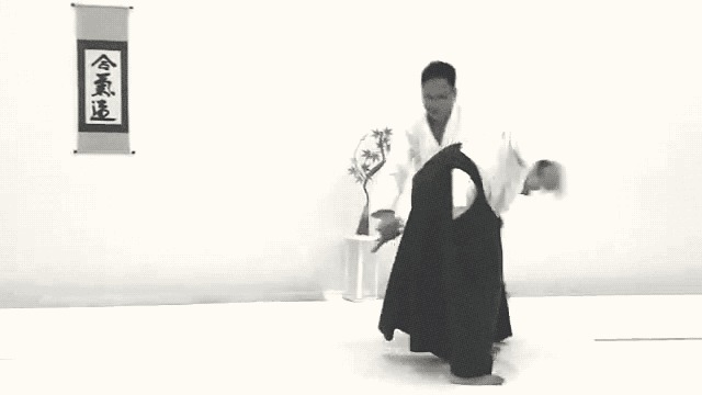 Ukemi. The art of falling down in Aikido